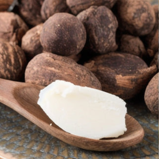 Sheabutter auf einem Holzlöffel im Hintergrund Sheanüsse